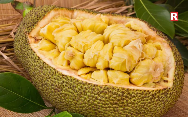 Jackfruit