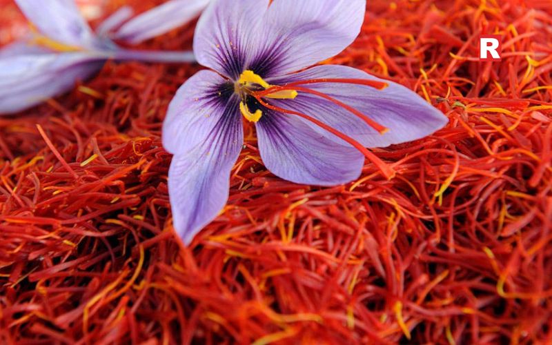 Kashmiri Saffron