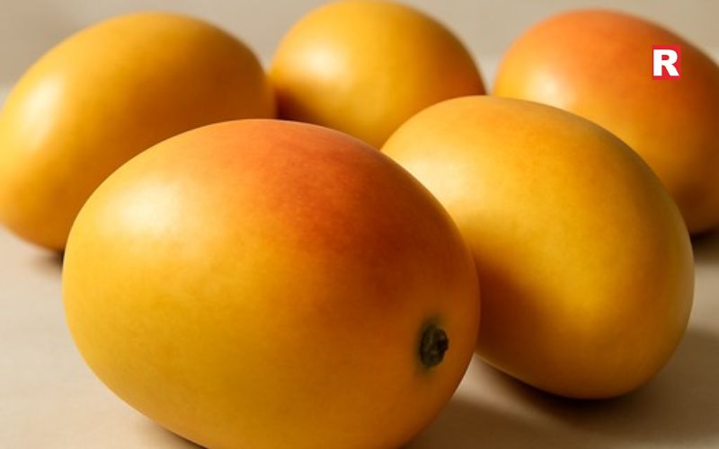 Kesar Mango – Gujarat's Sweet Treasure