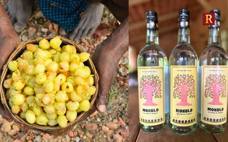 Mahua: The Spirit Made From Forest Flowers