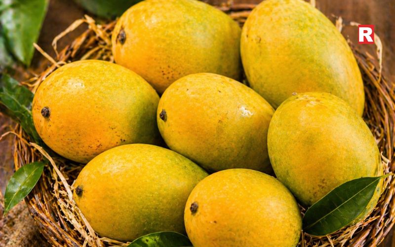Malgova Mango – A Southern Classic