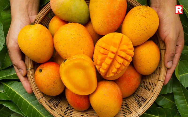 Mango Is Not Just a Fruit—It Is a Season