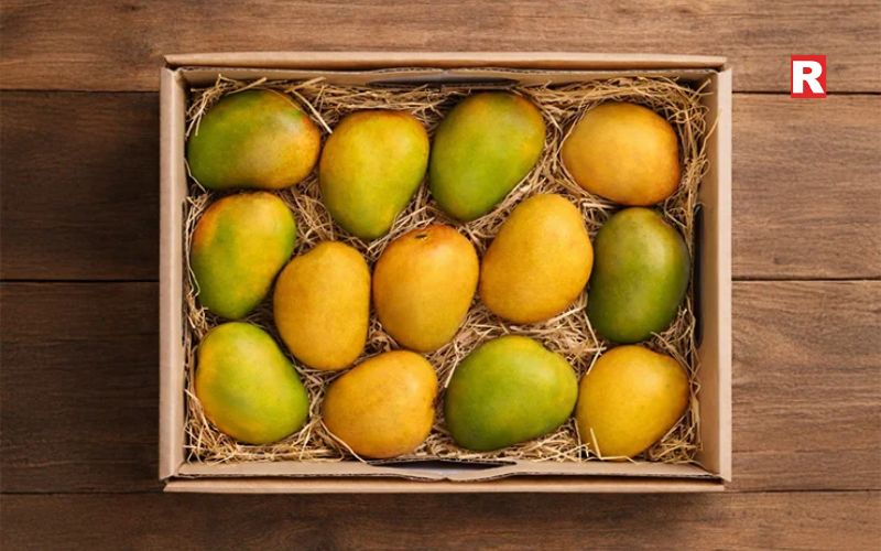 Mango: The Undisputed Headliner