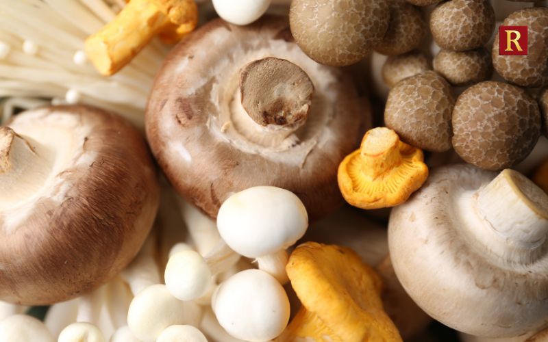 Mushrooms