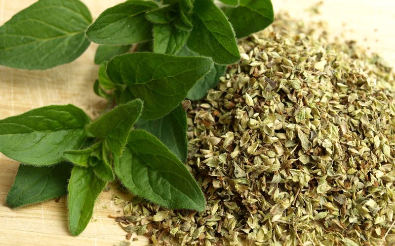Oregano and Basil – Italian Staples