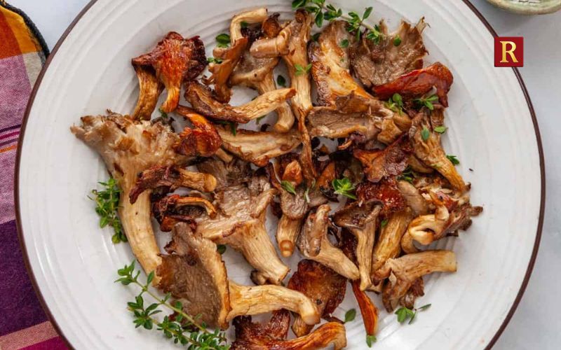Oyster Mushrooms