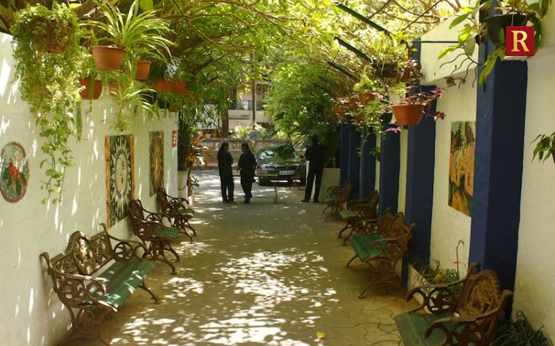 Pali Hill: Where Nature Meets Cafe Culture