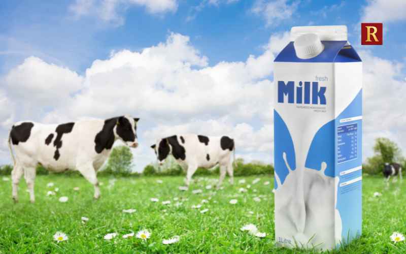 Pasteurised Milk