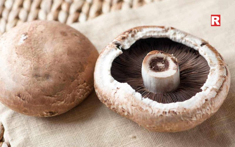 Portobello Mushroom