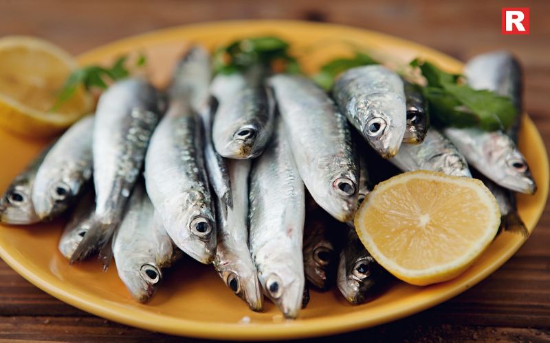 Sardines – Small Fish, Big Benefits