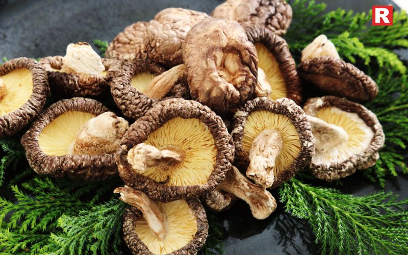 Shiitake Mushrooms – The Earthy Boost