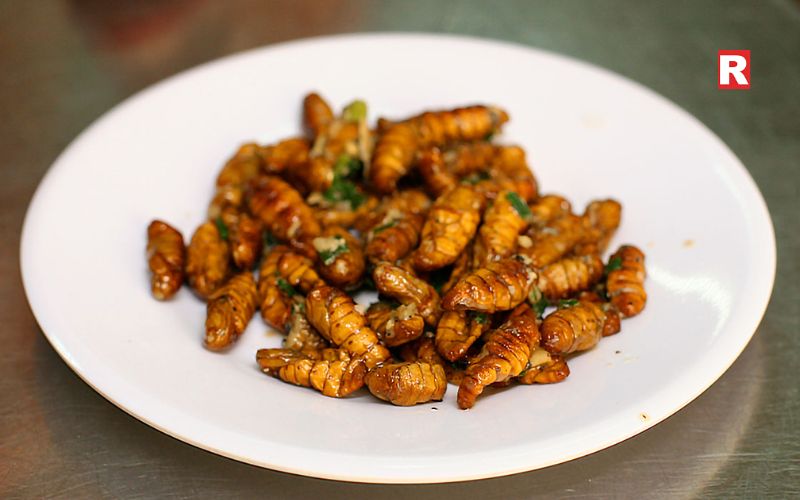 Silkworm Fry