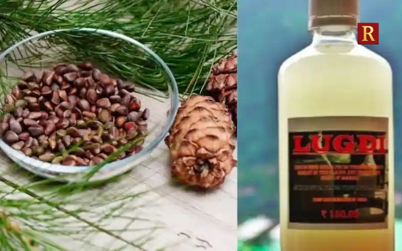 Sor: Himachal Pradesh Fruit-and-Grain Spirit