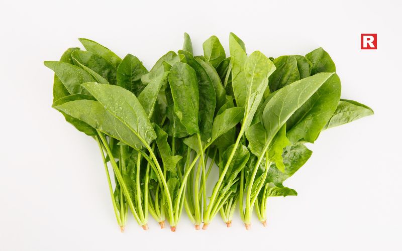 Spinach (Palak)