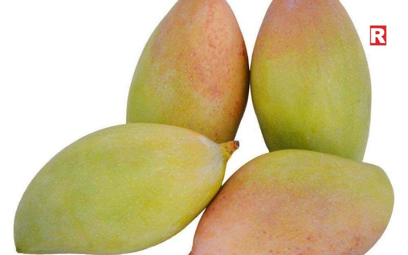 Totapuri Mango – The Tangy Favorite