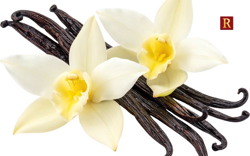 Vanilla Beans