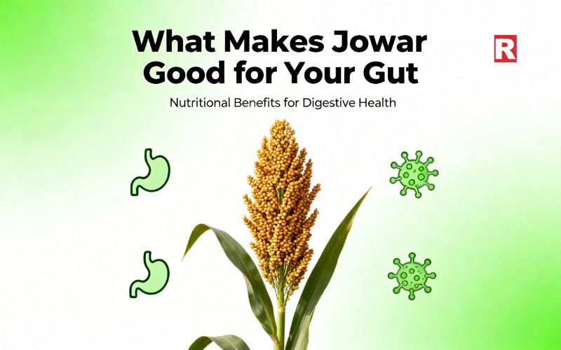 What Makes Jowar Good for Your Gut