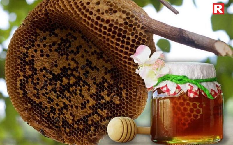  Wild Forest Honey