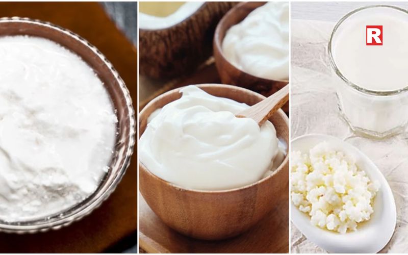 Yogurt and Probiotic Curd