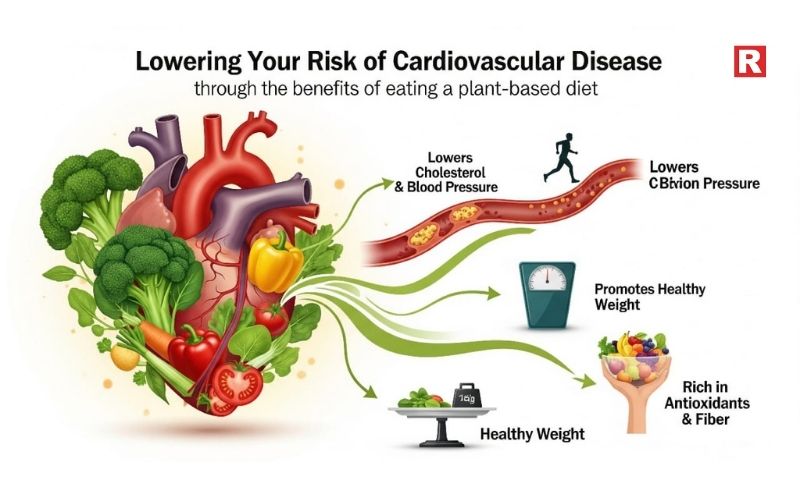 1. Lowering Your Risk of Cardiovascular Disease