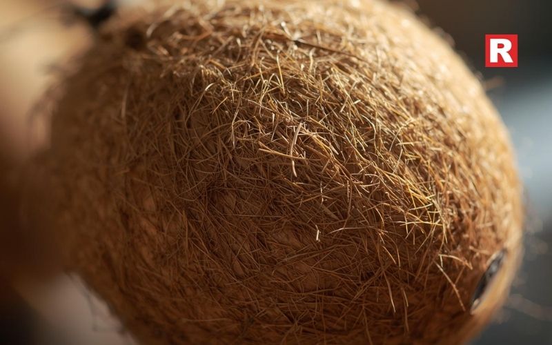 5. Dry Coconut