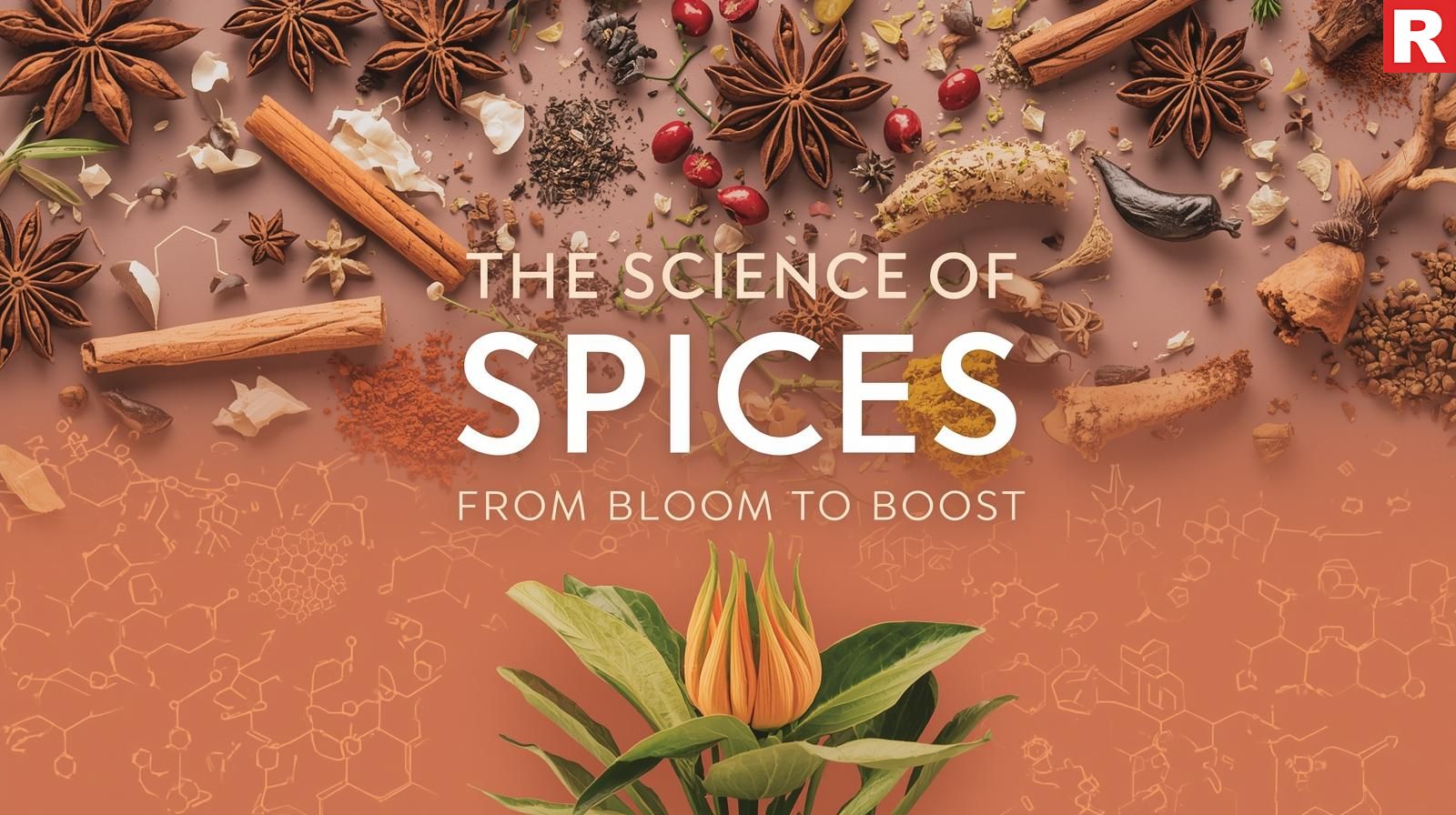 6. The Science of Spices: From Bloom to Boost