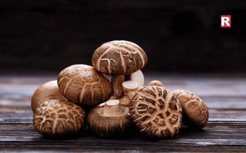 Shiitake Mushroom